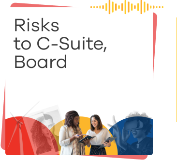 Risks to C-Suite and Board