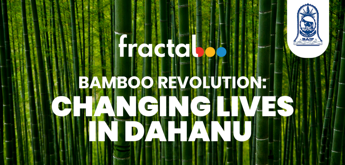 fractal bamboo revolution